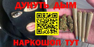 индика Гусиноозёрск